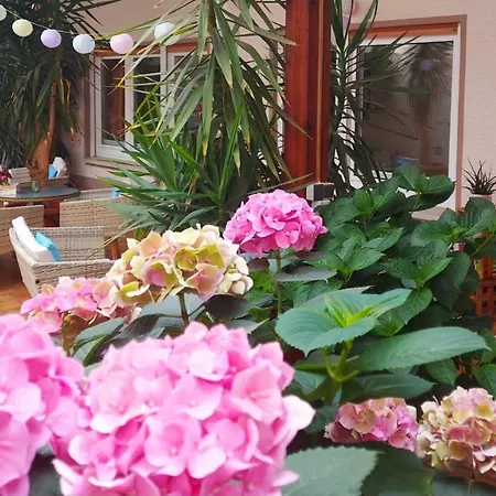 Homestay Gaestehaus Roehm